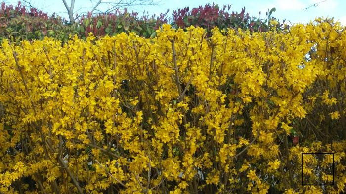 LABORES DE JARDIN EN EL MES DE ABRIL