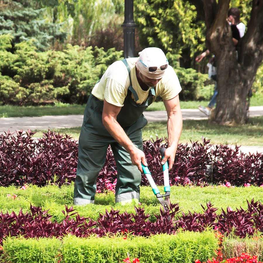 Hachas de jardinería para podar, cortar ramas o hacer leña